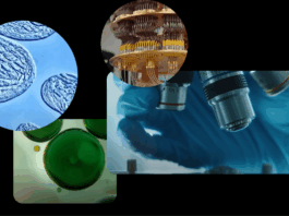 AI Enhancing Scientific Research for Increased Real-World Impact How we're using AI to drive scientific research with greater real-world benefit