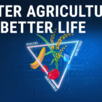 Unique Perspectives on Home Home