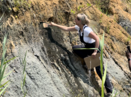 NASA Science: Earth Educators Join Infiniscope and Tour It Initiative NASA Logo