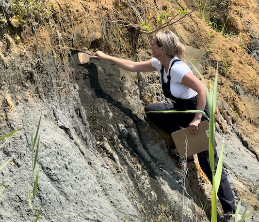 NASA Science: Earth Educators Join Infiniscope and Tour It Initiative NASA Logo