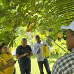 Dominican Republic Quickly Eliminates Mediterranean Fruit Fly Issue Dominican Republic Successfully Eradicate Mediterranean Fruit Fly Infestation in Record Time