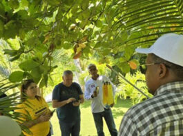 Dominican Republic Quickly Eliminates Mediterranean Fruit Fly Issue Dominican Republic Successfully Eradicate Mediterranean Fruit Fly Infestation in Record Time