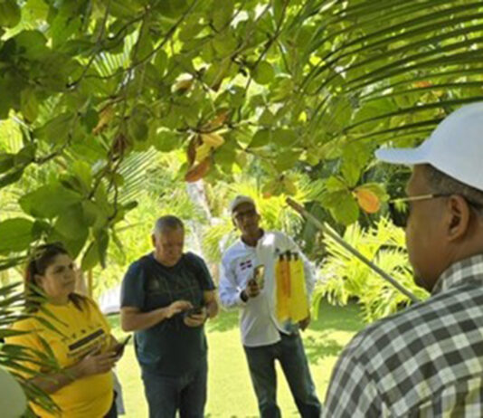 Dominican Republic Quickly Eliminates Mediterranean Fruit Fly Issue Dominican Republic Successfully Eradicate Mediterranean Fruit Fly Infestation in Record Time