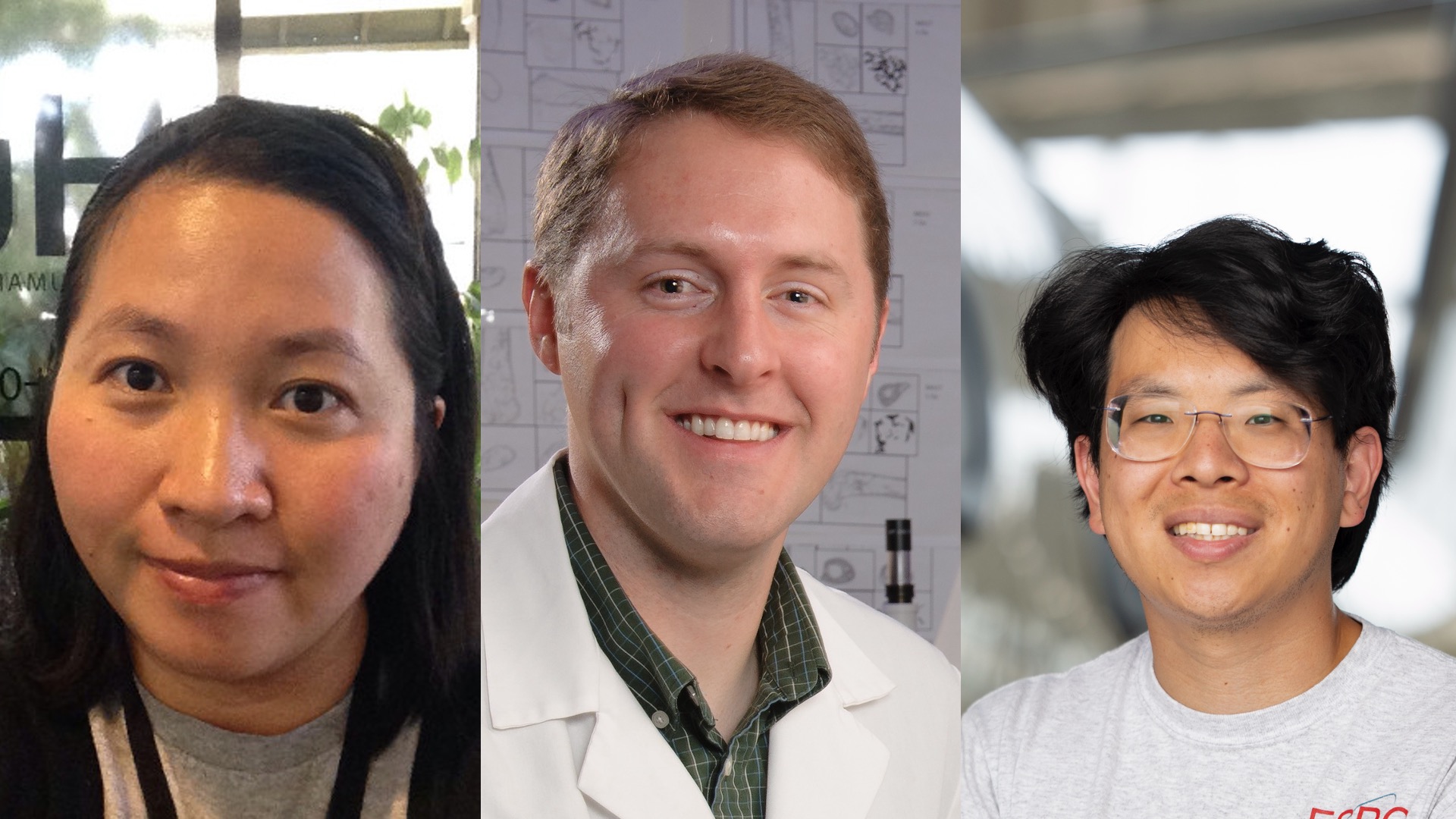 som march 2025 tile image.jpg Picture of the Stars of the Month for NASA Ames Research Center