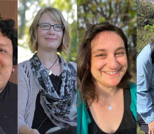 January 2025 NASA Ames Stars Recognized Images of the awardees of the NASA Ames Research Center award Stars of the Month, pictured from right to left: Maurice Valdez, Niki Parenteau, Dori Myer, and Judy Alfter.