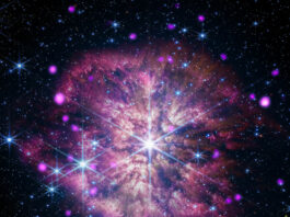 NASA Telescopes Capture Black Hole’s Musical Prelude and Fugue At the center of the composite image of WR124 is the large gleaming star in white and pale blue. The star sits at the heart of a mottled pink and gold cloud, its long diffraction spikes extending to the outer edges. Also residing in the cloud are other large gleaming stars, glowing hot-pink dots, and tiny specks of blue and white light.