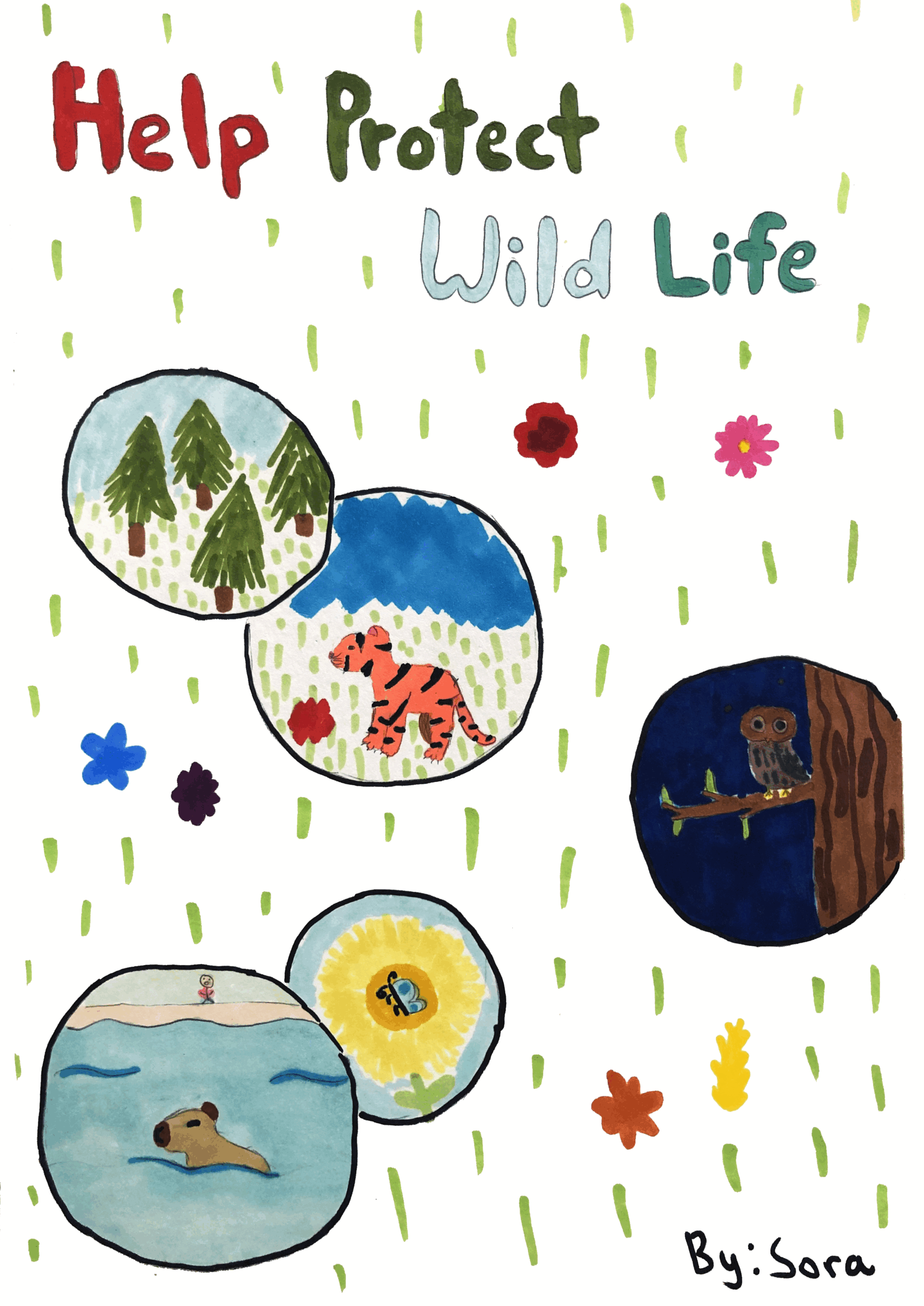 sora ueyama.png A child