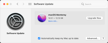 speed up Mac after installing macOS Monterey