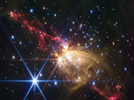 Webb Telescope Spots Massive Stellar Jet at Milky Way’s Edge Gaseous yellow-orange filaments look like a rose seen from the side and tilted slightly from upper left to lower right, slightly higher than the center of the frame. Extending from the rose to upper left and lower right are gaseous outflows that appear as red lobes that have an overall shape of tall, narrow triangles with rounded tips. Each red triangle is made up of wavy, irregular lines. Dozens of stars are scattered across the field. One particularly bright white star with eight diffraction spikes is located at the top of the yellow rose. Another bright blue star with even more prominent diffraction spikes is to its lower left. The background of space is black.