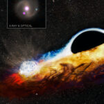 NASA Missions: Black Hole Consumes Star, Targets Another Black Hole Destroys Star, Goes After Another, NASA Missions Find - NASA