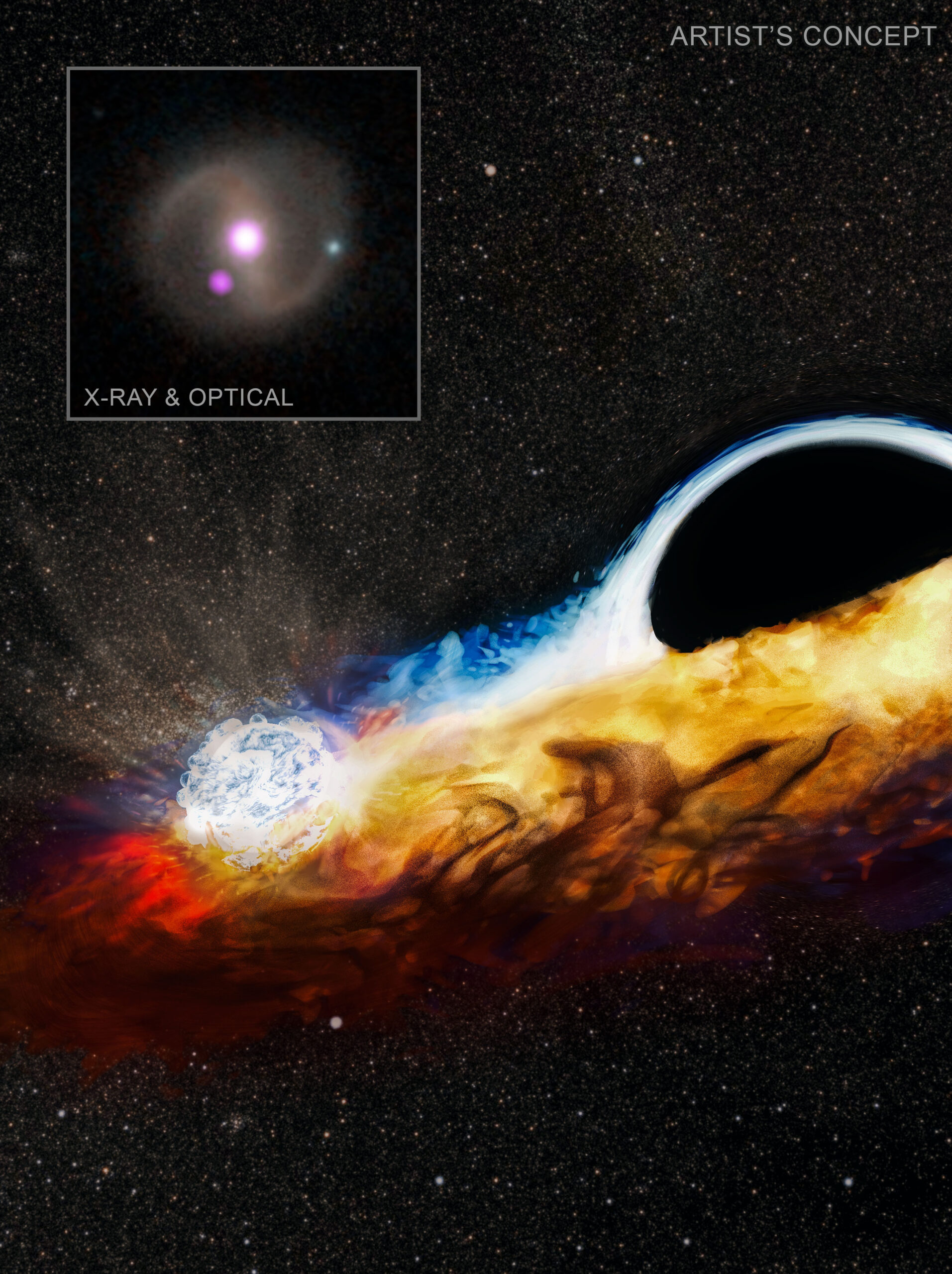 Black Hole Destroys Star, Goes After Another, NASA Missions Find - NASA
