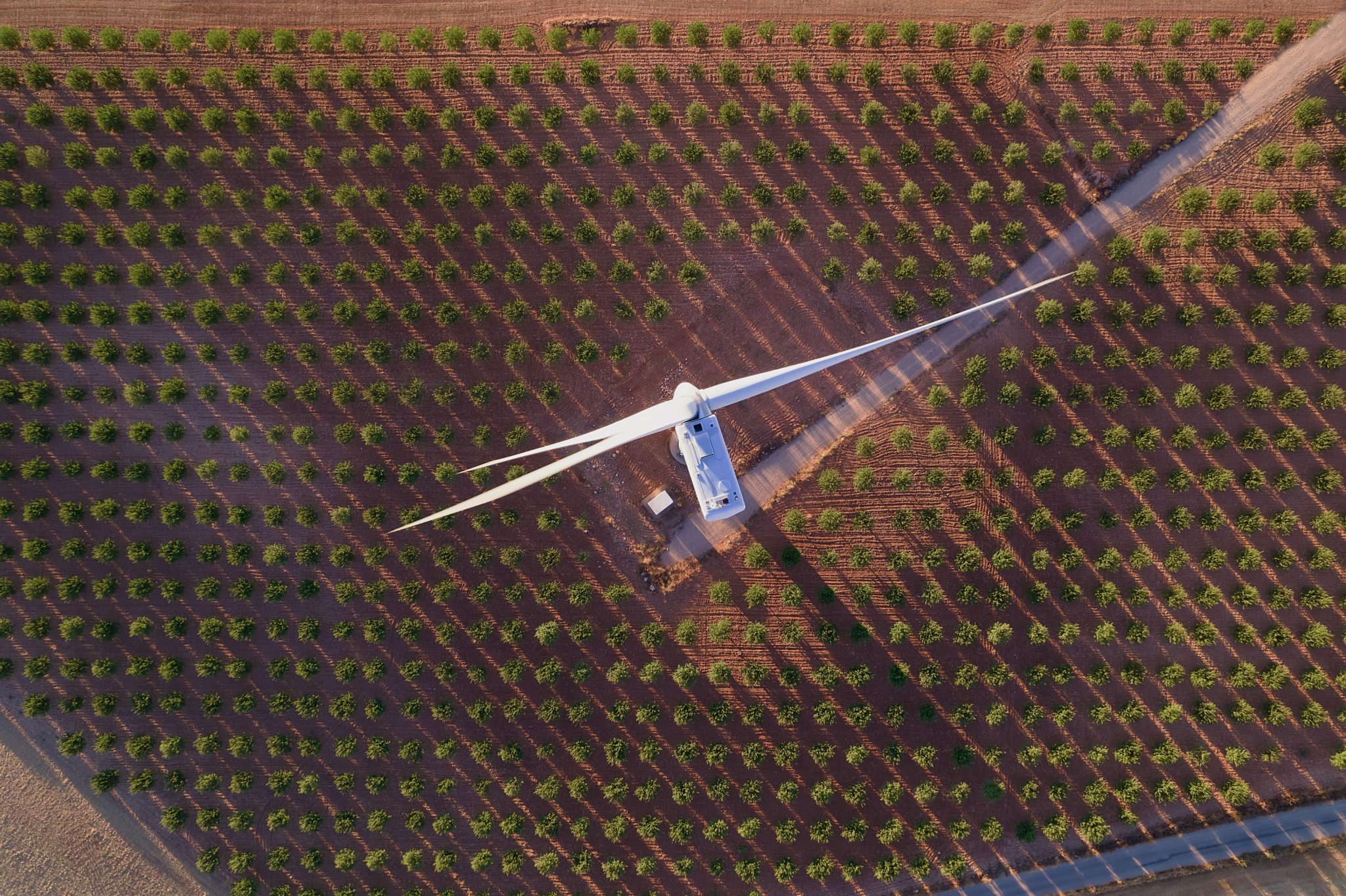 Lenovo Launches Modular DaaS for Sustainability to Manage Carbon, Reduce IT Costs, and Boost ROI - Lenovo StoryHub