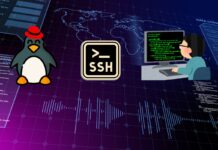 A Beginner’s Guide to Understanding the Ubuntu File System ubuntu file system