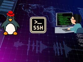 A Beginner’s Guide to Understanding the Ubuntu File System ubuntu file system