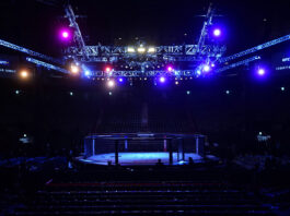 UFC, IBM Launch AI-Powered Real-Time Fight Analysis Unanimous Decision: UFC and IBM Introduce New AI-Driven In-Fight Insights