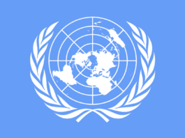 UN Future Summit: AI Access for All UN Summit of the Future: AI opportunity for everyone