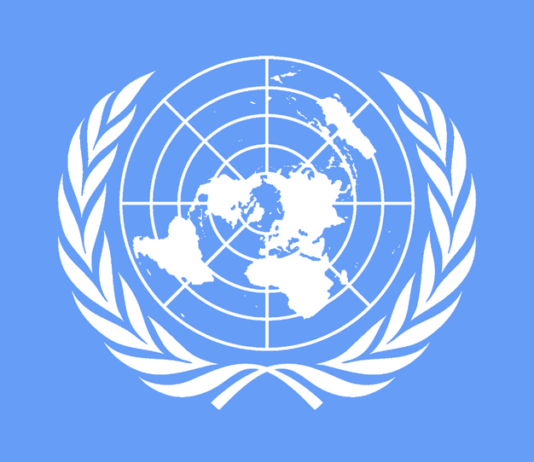 UN Future Summit: AI Access for All UN Summit of the Future: AI opportunity for everyone