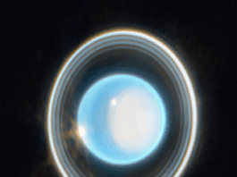 Oxford and NASA Find Uranus Warmer Than Previously Believed A glowing, bright blue-white circular sphere in the center of the image, surrounded by multiple concentric, thin rings of varying brightness against a black background. The rings appear as gray, white, and light-colored bands encircling the central blue-white disc. The outer ring appears brighter than the inner rings, with subtle variations in thickness and illumination throughout the ring structure.