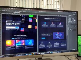 Web Design Trends: From Minimalism to Maximalism web design minimalist