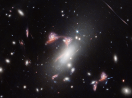 Webb Telescope Finds Distorted Galaxy Shaped Like Cosmic Question Mark NASA Logo