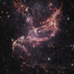 Webb Telescope Reveals Longer-Lived Disks in Early Universe NASA’s Webb Finds Planet-Forming Disks Lived Longer in Early Universe - NASA Science