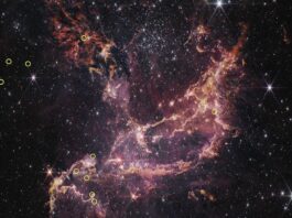 Webb Telescope Reveals Longer-Lived Disks in Early Universe NASA’s Webb Finds Planet-Forming Disks Lived Longer in Early Universe - NASA Science