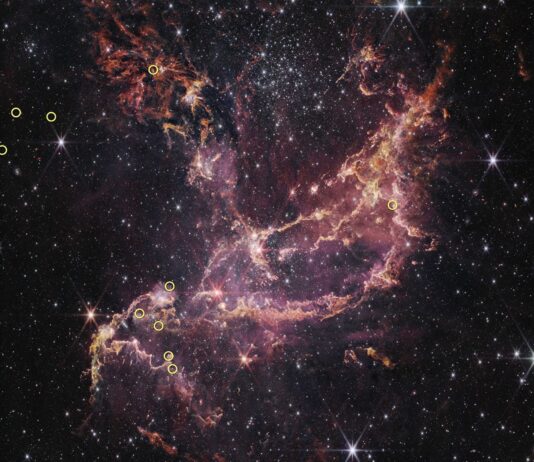 Webb Telescope Reveals Longer-Lived Disks in Early Universe NASA’s Webb Finds Planet-Forming Disks Lived Longer in Early Universe - NASA Science
