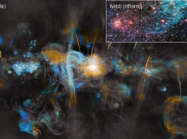 NASA Webb Studies Impact of Magnetic Fields on Star Formation The MeerKAT radio telescope shows the plane of the Milky Way galaxy, with a graphic pullout highlighting a much smaller region on the right, captured by the James Webb Space Telescope’s near-infrared light observations. The MeerKAT image is colored in blue, cyan, and yellow, with a very bright white-yellow center that indicates the location of the Milky Way’s supermassive black hole. Painterly bubbles of various sizes, clouds, and vertical brushstroke-like streaks make up the radio image. The Webb inset shows stars and gas clouds in red, with an arching cloud of bright cyan that contains many straight, needle-like features that appear more crystalline than cloudy.