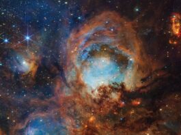 Webb Explores Cat’s Paw Nebula for Third Anniversary A section of the Cat’s Paw Nebula, a local star-forming region composed of gas, dust, and young stars. Four roughly circular areas are toward the center of the frame: a small oval toward the top left, a large circle in the top center, and two ovals at bottom left and right. Each circular area has a luminous blue glow, with the top center and bottom left areas the brightest. Brown-orange filaments of dust, which vary in density, surround these four bluish patches and stretch toward the frame’s edges. Small zones, such as to the left and right of the top-center blue circular area, appear darker and seemingly vacant of stars. Toward the center are small, fiery red clumps scattered among the brown dust. Many small, yellow-white stars are spread across the scene, some with eight-pointed diffraction spikes that are characteristic of Webb. A few larger blue-white stars with diffraction spikes are scattered throughout, mostly toward the top left and bottom right. In the top right corner is a bright red-orange oval.