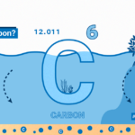 Understanding Blue Carbon: A Brief Overview What Is Blue Carbon?