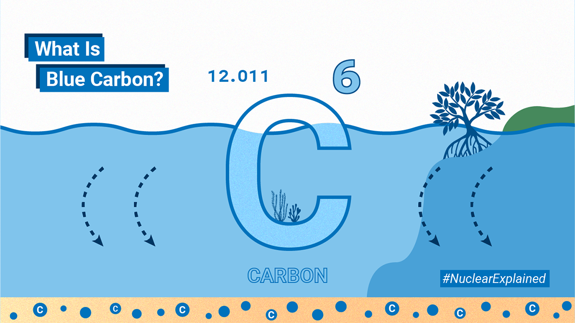 what is blue carbon 1140x640.png What Is Blue Carbon?