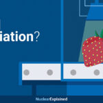 Understanding Food Irradiation: Its Significance Explained What is Food Irradiation and Why is it Important?