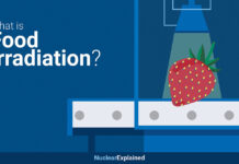 Understanding Food Irradiation: Its Significance Explained What is Food Irradiation and Why is it Important?