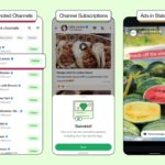 Discover More Channels and Businesses on WhatsApp Easily Helping You Find More Channels and Businesses on WhatsApp