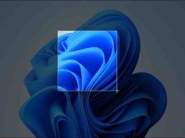 7 Ways To Take Screenshot In Windows 11
