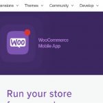 How To Remove All WooCommerce Orders At Once? How To Remove All WooCommerce Orders At Once?