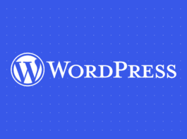 Protect Personalized Data Fields WordPress 6.6.2 Maintenance Release