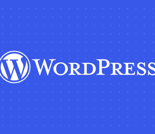 Protect Personalized Data Fields WordPress 6.6.2 Maintenance Release